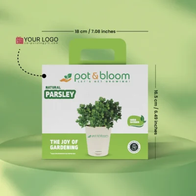Buy Parsley Herb Garden Kit in bulk for Corporate Gifting | Corporate Gyft