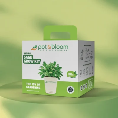 Buy Sage Herb Garden Kit in bulk for Corporate Gifting | Corporate Gyft