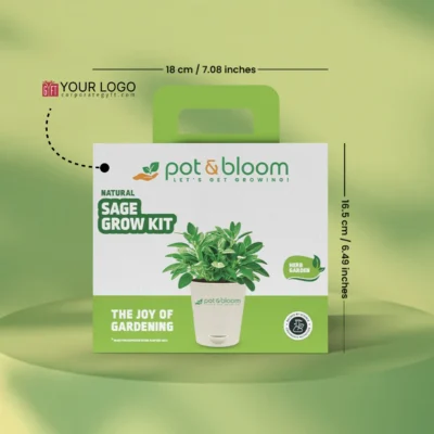 Buy Sage Herb Garden Kit in bulk for Corporate Gifting | Corporate Gyft