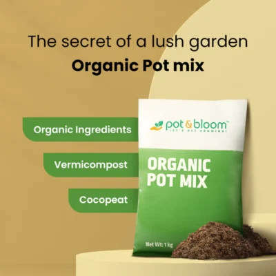 Buy Organic Pot Mix in bulk for Corporate Gifting | Corporate Gyft