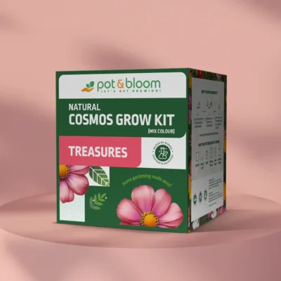 Buy Treasures Cosmos Grow Kit in bulk for Corporate Gifting | Corporate Gyft