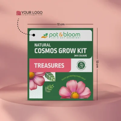 Buy Treasures Cosmos Grow Kit in bulk for Corporate Gifting | Corporate Gyft