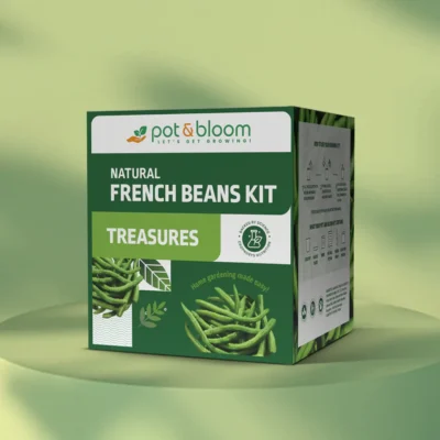 Buy Treasures French Beans Grow Kit in bulk for Corporate Gifting | Corporate Gyft
