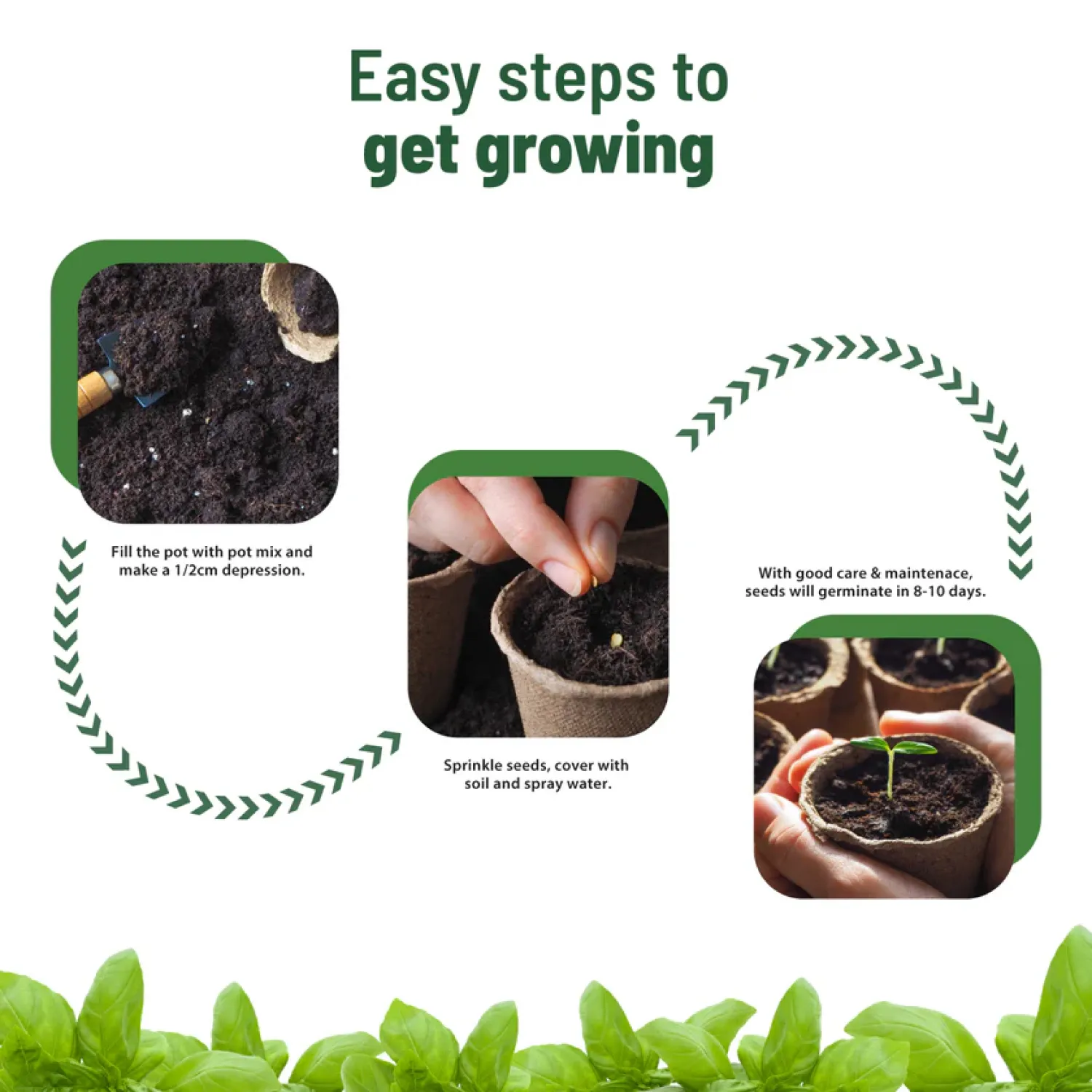 Treasures Basil Grow Kit Buy Treasures Basil Grow Kit in bulk for Corporate Gifting | Corporate Gyft
