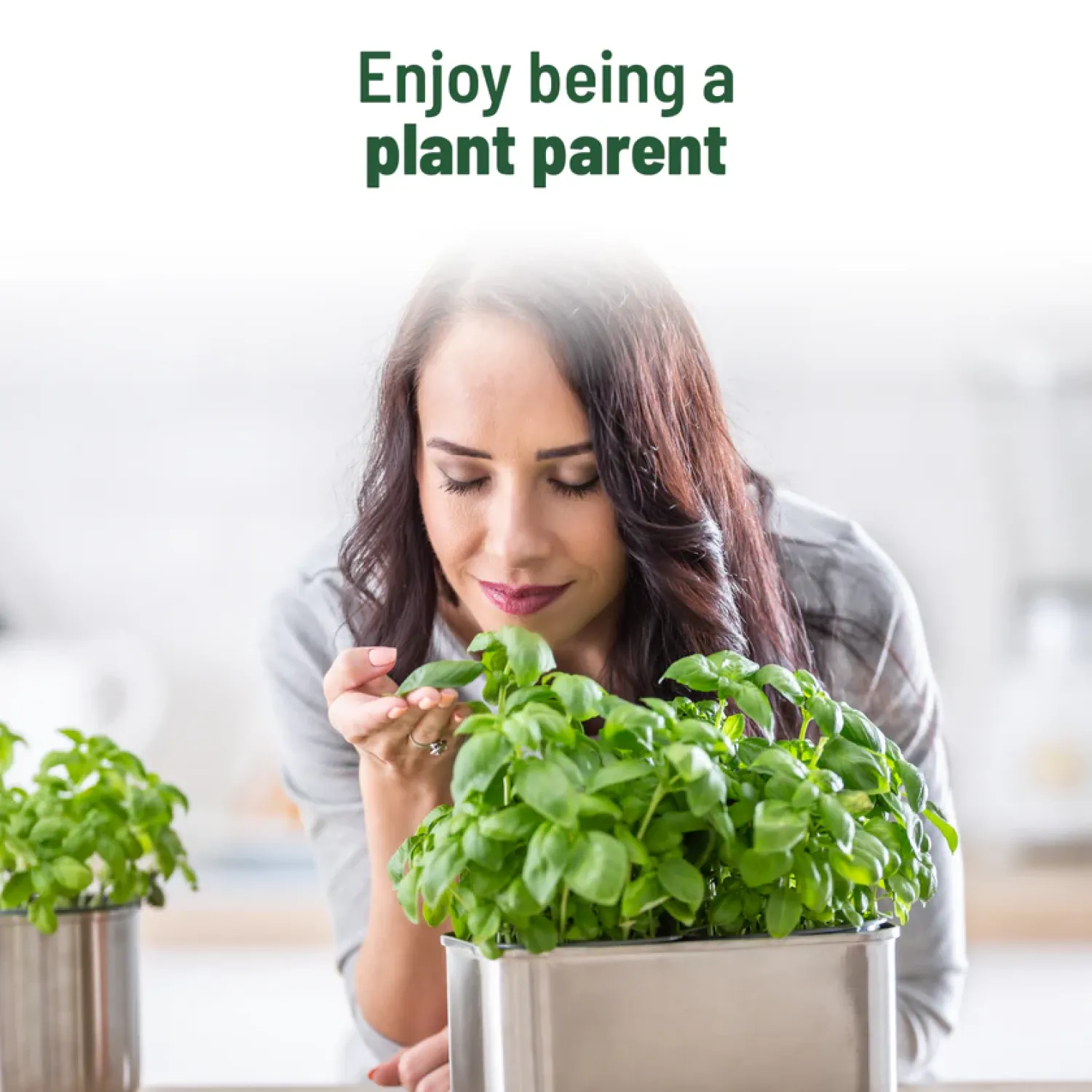 Treasures Basil Grow Kit Buy Treasures Basil Grow Kit in bulk for Corporate Gifting | Corporate Gyft