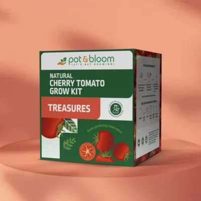 Buy Treasures Cherry Tomato Grow Kit in bulk for Corporate Gifting | Corporate Gyft