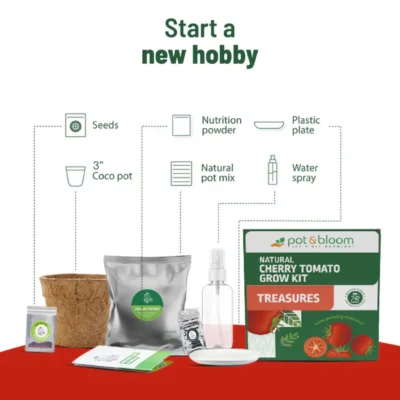 Buy Treasures Cherry Tomato Grow Kit in bulk for Corporate Gifting | Corporate Gyft