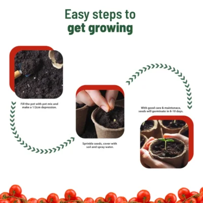 Buy Treasures Cherry Tomato Grow Kit in bulk for Corporate Gifting | Corporate Gyft