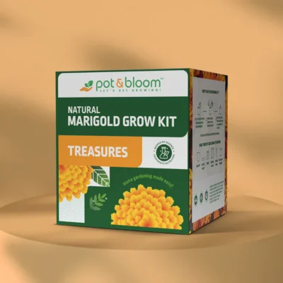 Buy Treasures Blooming Marigold Kit in bulk for Corporate Gifting | Corporate Gyft