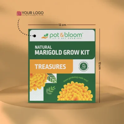 Buy Treasures Blooming Marigold Kit in bulk for Corporate Gifting | Corporate Gyft