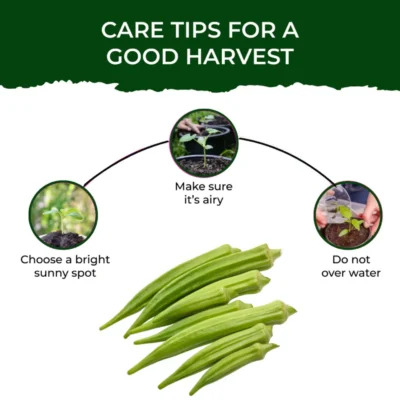 Buy Treasures Fresh Okra Garden Kit in bulk for Corporate Gifting | Corporate Gyft