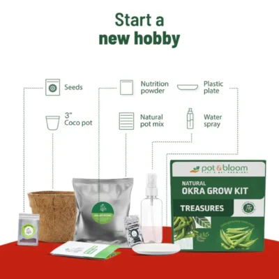 Buy Treasures Fresh Okra Garden Kit in bulk for Corporate Gifting | Corporate Gyft