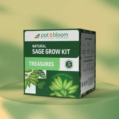 Buy Treasures Aromatic Sage Grow Kit in bulk for Corporate Gifting | Corporate Gyft