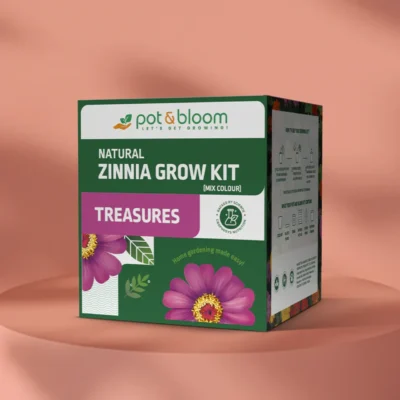 Buy Treasures Vibrant Zinnia Kit in bulk for Corporate Gifting | Corporate Gyft