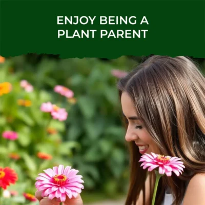 Buy Treasures Vibrant Zinnia Kit in bulk for Corporate Gifting | Corporate Gyft