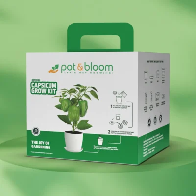 Buy Capsicum Home Gardening Kit in bulk for Corporate Gifting | Corporate Gyft