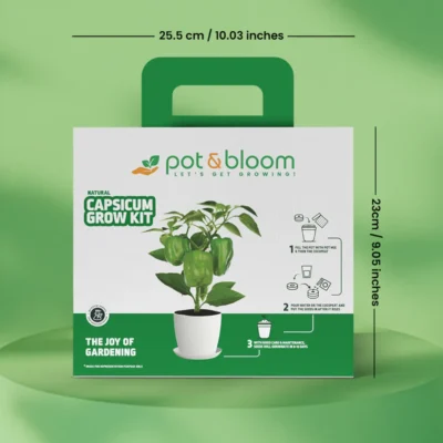 Buy Capsicum Home Gardening Kit in bulk for Corporate Gifting | Corporate Gyft