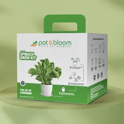 Buy Spinach Home Gardening Kit in bulk for Corporate Gifting | Corporate Gyft