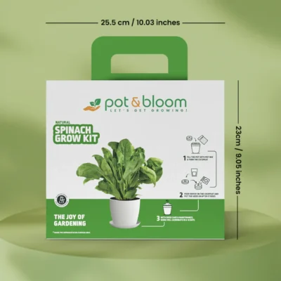 Buy Spinach Home Gardening Kit in bulk for Corporate Gifting | Corporate Gyft
