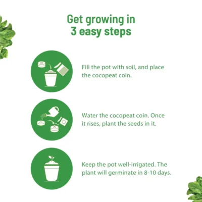 Buy Spinach Home Gardening Kit in bulk for Corporate Gifting | Corporate Gyft