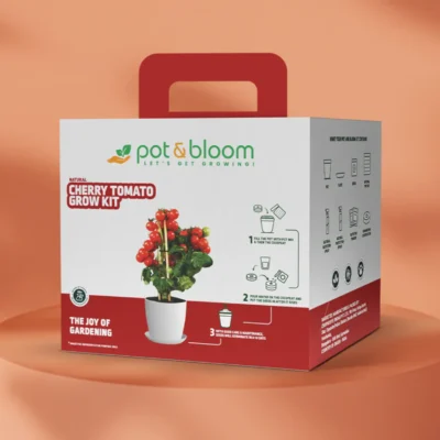 Buy Cherry Tomato Home Gardening Kit in bulk for Corporate Gifting | Corporate Gyft