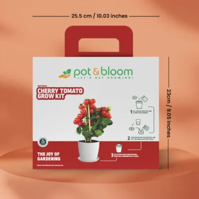 Buy Cherry Tomato Home Gardening Kit in bulk for Corporate Gifting | Corporate Gyft