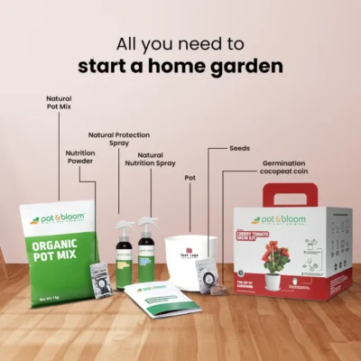 Buy Cherry Tomato Home Gardening Kit in bulk for Corporate Gifting | Corporate Gyft