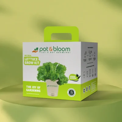 Buy Fresh Lettuce Garden Kit in bulk for Corporate Gifting | Corporate Gyft