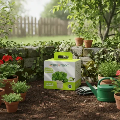Buy Fresh Lettuce Garden Kit in bulk for Corporate Gifting | Corporate Gyft