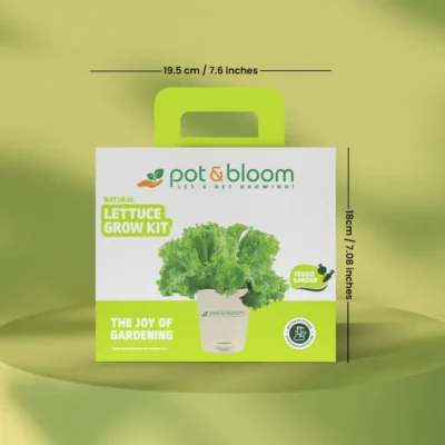 Buy Fresh Lettuce Garden Kit in bulk for Corporate Gifting | Corporate Gyft