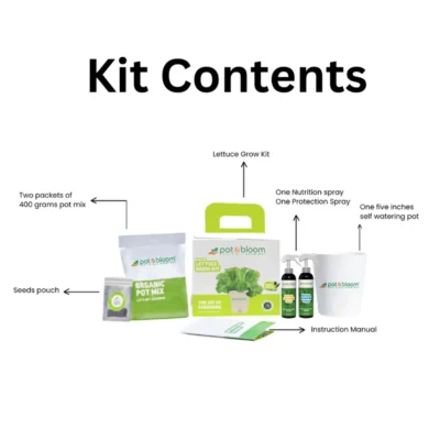 Buy Fresh Lettuce Garden Kit in bulk for Corporate Gifting | Corporate Gyft