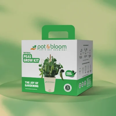 Buy Fresh Peas Garden Kit in bulk for Corporate Gifting | Corporate Gyft