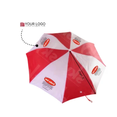 Buy 21 Inch 2 Fold Auto Classic Umbrella in bulk for Corporate Gifting | Corporate Gyft