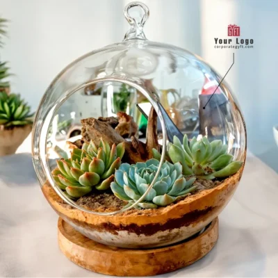 Buy Glass Hanging Globe Terrarium in bulk for Corporate Gifting | Corporate Gyft