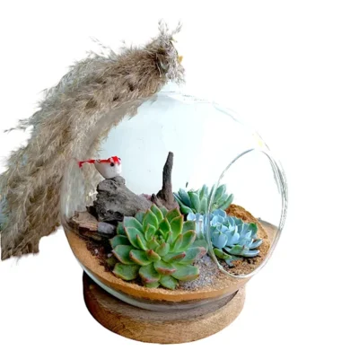 Buy Glass Hanging Globe Terrarium in bulk for Corporate Gifting | Corporate Gyft