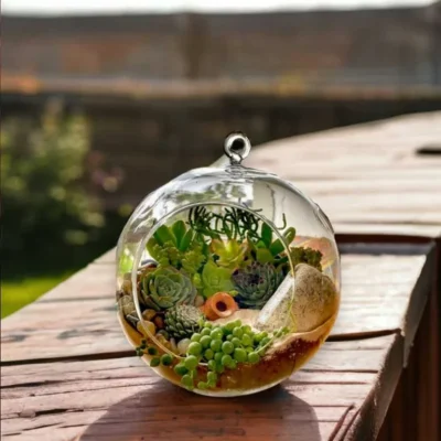 Buy Glass Hanging Globe Terrarium in bulk for Corporate Gifting | Corporate Gyft