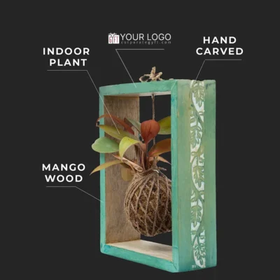 Buy Decorative Kokedama Moss Frame in bulk for Corporate Gifting | Corporate Gyft