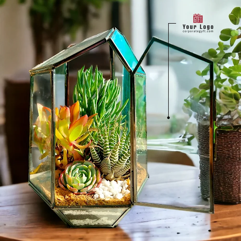 Buy Pentagon Glass Terrarium Planter in bulk for Corporate Gifting | Corporate Gyft