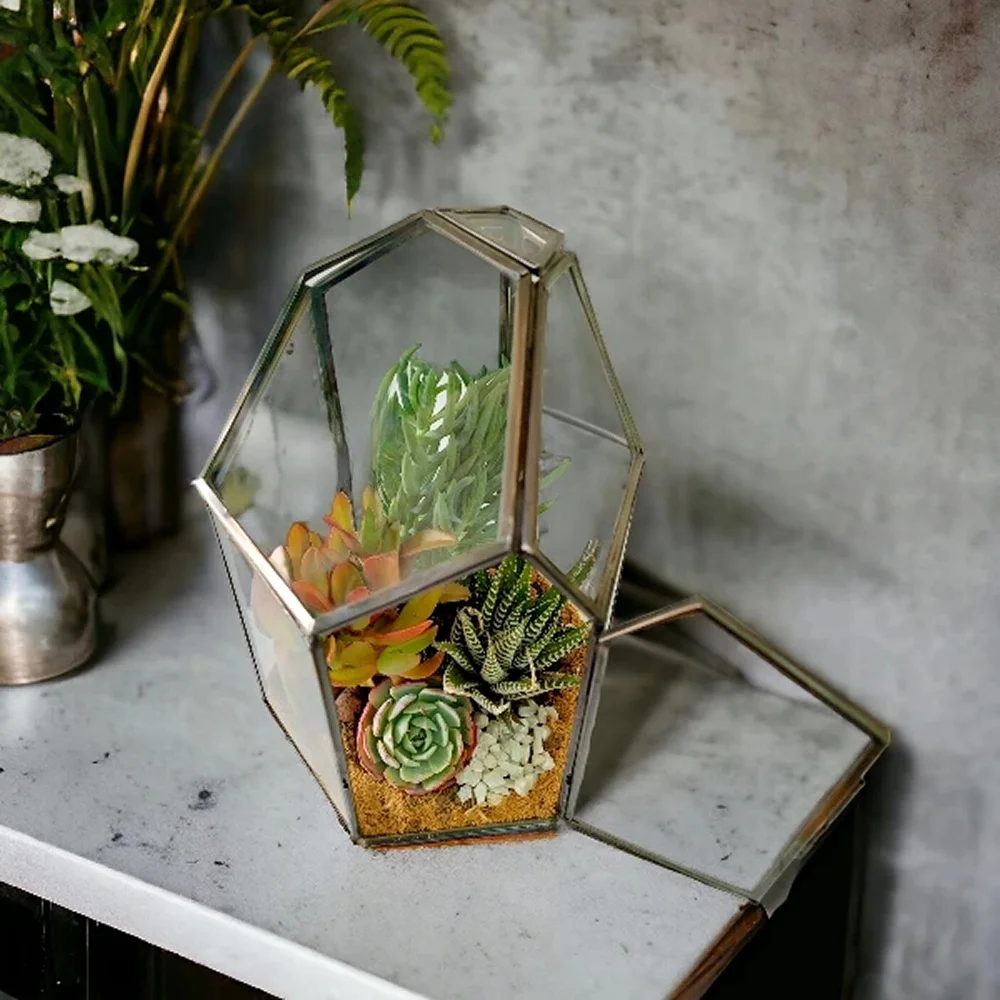 Buy Pentagon Glass Terrarium Planter in bulk for Corporate Gifting | Corporate Gyft