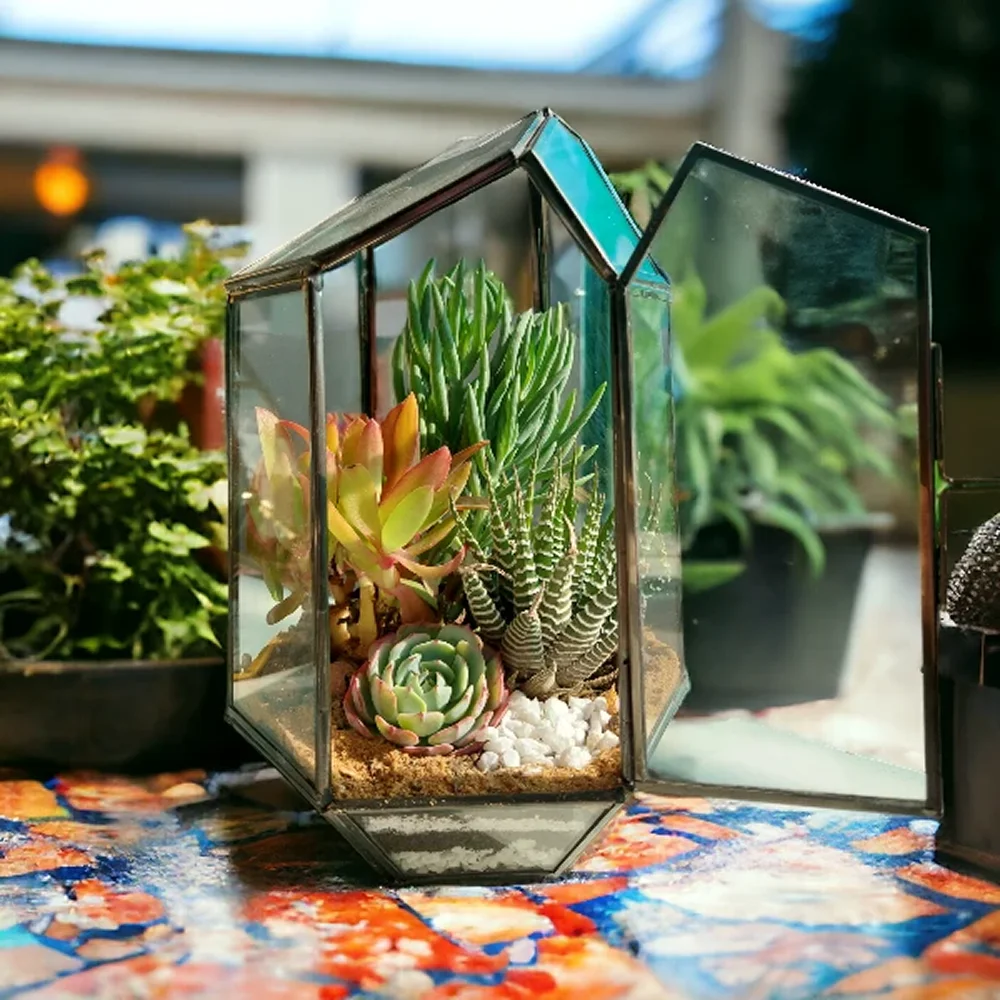 Buy Pentagon Glass Terrarium Planter in bulk for Corporate Gifting | Corporate Gyft