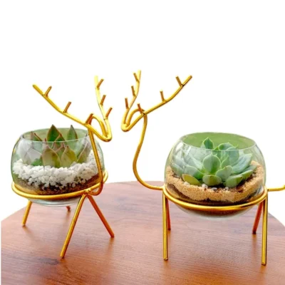 Buy Golden Reindeer Décor Planter Set in bulk for Corporate Gifting | Corporate Gyft