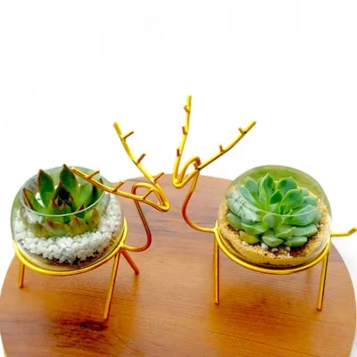 Buy Golden Reindeer Décor Planter Set in bulk for Corporate Gifting | Corporate Gyft