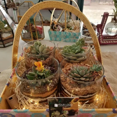 Buy Decorative Indoor Terrarium Gift Basket in bulk for Corporate Gifting | Corporate Gyft