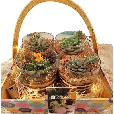 Buy Decorative Indoor Terrarium Gift Basket in bulk for Corporate Gifting | Corporate Gyft