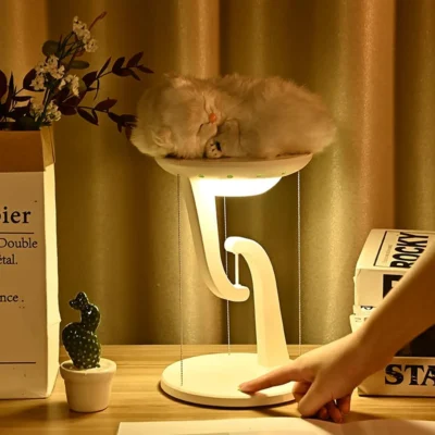Buy LED Bedside Lamp with Wireless Charger in bulk for Corporate Gifting | Corporate Gyft