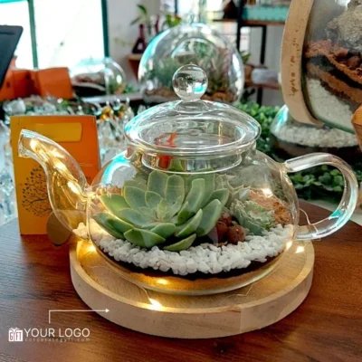 Buy Borosilicate Coffee Kettle Terrarium in bulk for Corporate Gifting | Corporate Gyft