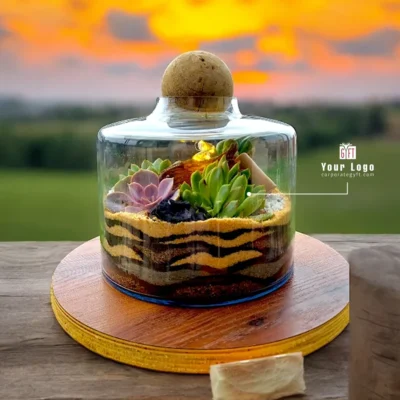Buy Succulent Volcano Jar Terrarium in bulk for Corporate Gifting | Corporate Gyft