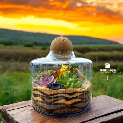 Buy Succulent Volcano Jar Terrarium in bulk for Corporate Gifting | Corporate Gyft