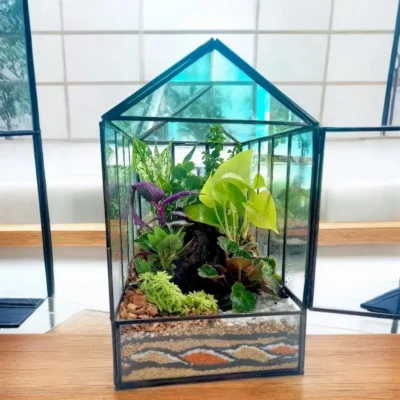 Buy Clear Glass House Terrarium in bulk for Corporate Gifting | Corporate Gyft