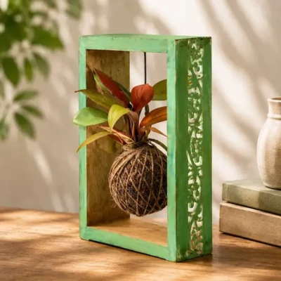 Buy Decorative Kokedama Moss Frame in bulk for Corporate Gifting | Corporate Gyft